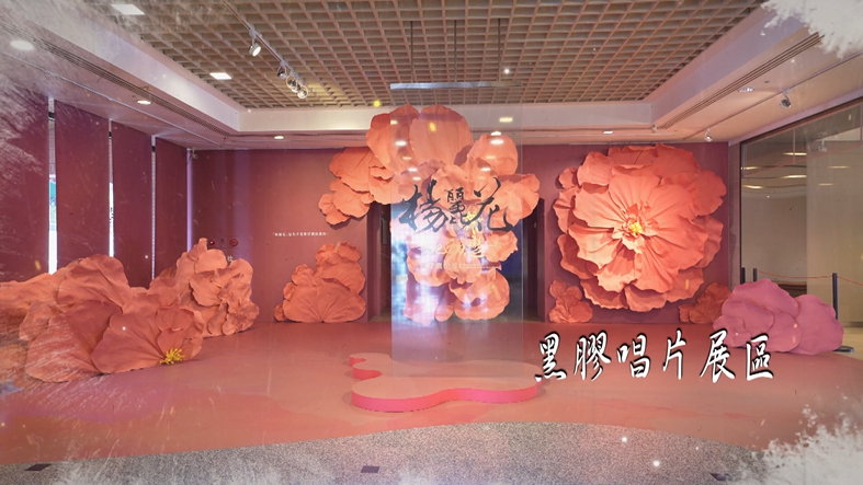 「世紀初戀．楊麗花」歌仔戲特展手語導覽影片-5.黑膠唱片專區