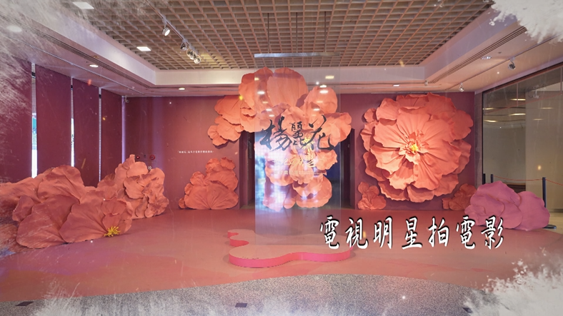 「世紀初戀．楊麗花」歌仔戲特展手語導覽影片-8.電影明星拍電影