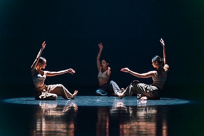 2025舞躍大地舞蹈創作比賽_優選_枯香