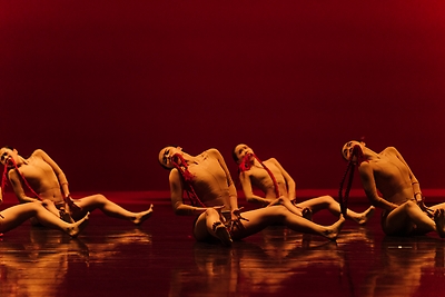 2025舞躍大地舞蹈創作比賽_金牌獎_野子---女子